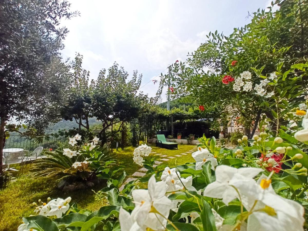 La Roccia Incantata Amalfi Coast Виетри Экстерьер фото
