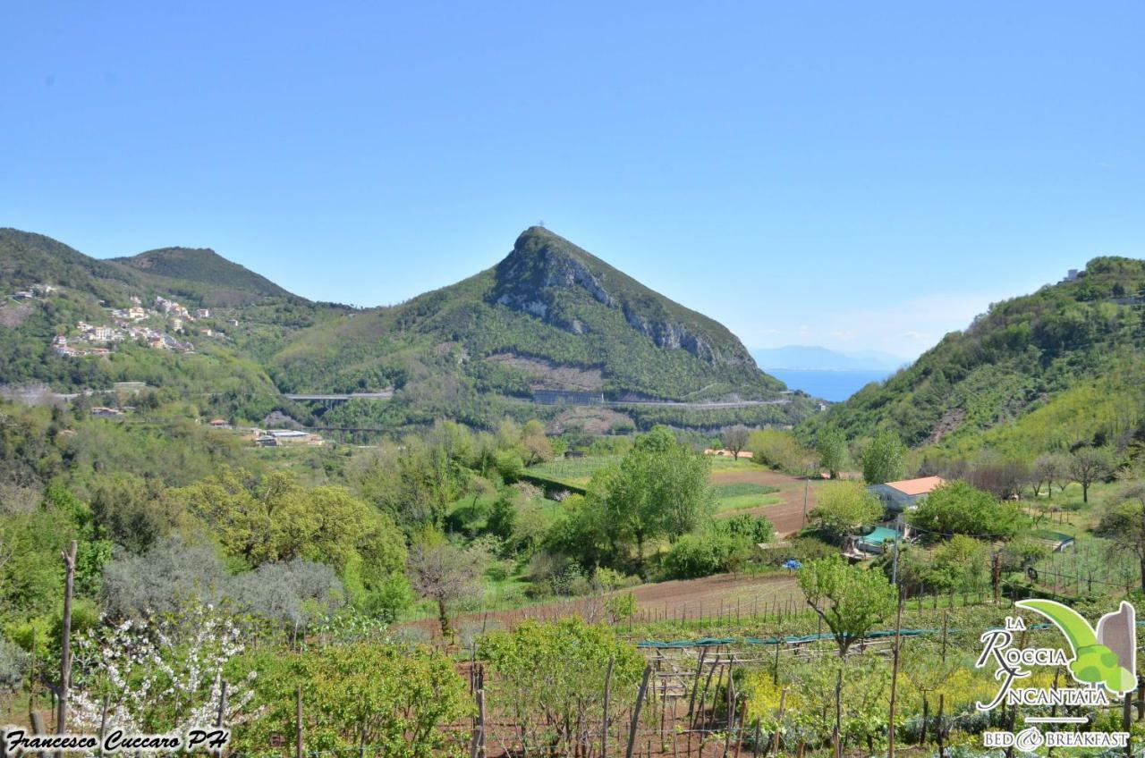La Roccia Incantata Amalfi Coast Виетри Экстерьер фото